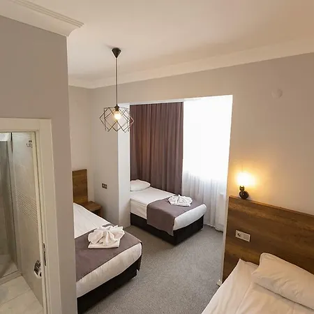 Baskent Otel 2*